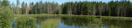 Shelley Lagoon Upgrade